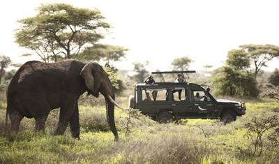 4 Days Tanzania Group Safari: Tarangire, Serengeti & Ngorongoro Crater — 4