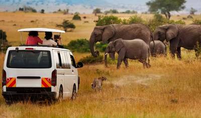 7-dniowe safari grupowe w Kenii: Masai Mara, Jezioro Nakuru, Jezioro Naivasha i Amboseli — 3