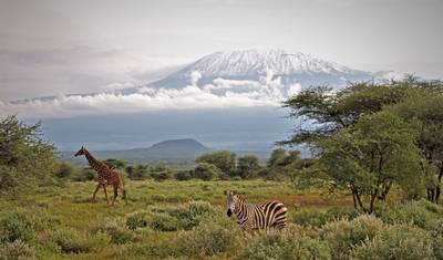 7-dniowe safari grupowe w Kenii: Masai Mara, Jezioro Nakuru, Jezioro Naivasha i Amboseli — 5