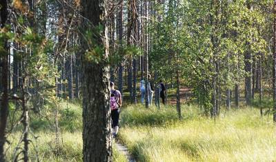 フィンランド、Deepland国立公園での自然とハイキングツアー — 2