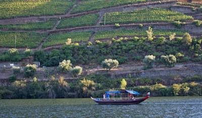 Douro Valley self-guided bike tour — 5