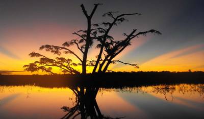 Excursão em Grupo de 7 Dias à Reserva de Vida Selvagem de Cuyabeno para Viajantes Gays — 5