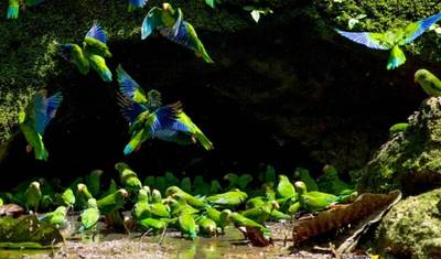 7 Days Kayak Adventure with the Waorani Tribe — 5