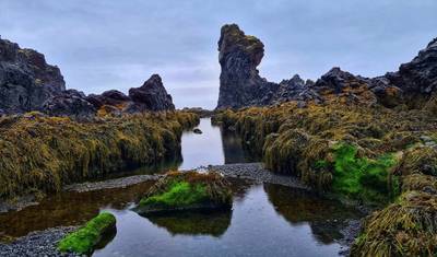 10 dniowa kompleksowa zima na Islandii | Droga Obwodowa, Snæfellsnes, Zorza Polarna i transfer lotniskowy w obie strony (Wycieczka grupowa) — 5