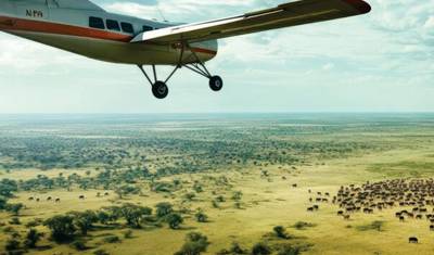 Niedrogie 4-dniowe luksusowe safari lotnicze do Masai Mara (z lotniska w Nairobi) — 3
