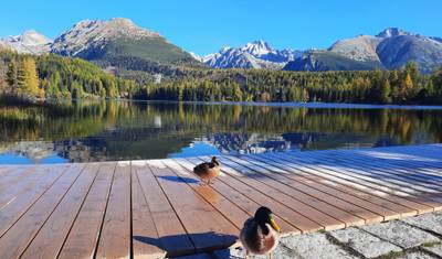 Bear watching hiking tour — 5