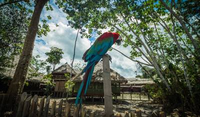 4 Days in the Heart of the Jungle — 5