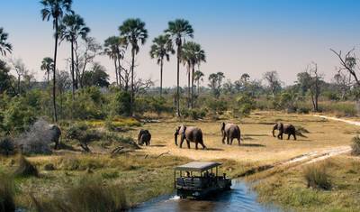 Amazing Victoria Falls, Kruger, Cape Town & Winelands — 2
