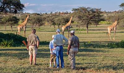 Amazing Victoria Falls, Kruger, Cape Town & Winelands — 3
