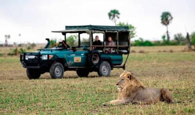 Amazing Victoria Falls, Kruger, Cape Town & Winelands — 4