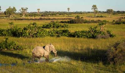 Amazing Victoria Falls, Kruger, Cape Town & Winelands — 5