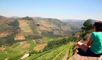 Wycieczka e-rowerem z przewodnikiem po Dolinie Douro — 4