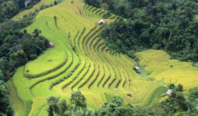 North-Eastern Vietnam Loop Trip - 14 days 13 nights [Private Tour] — 4