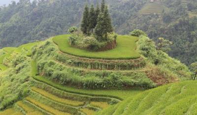 North-Eastern Vietnam Loop Trip - 14 days 13 nights [Private Tour] — 5