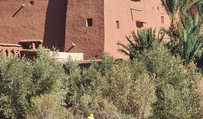 13-Day Private Morocco Tour — 5
