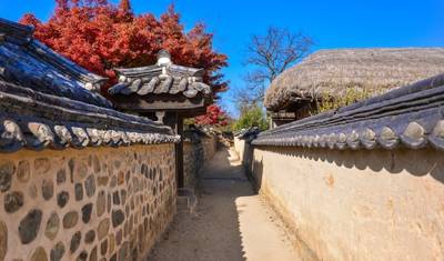 15 Dias: Imagine Descobertas Infinitas no Japão e na Coreia do Sul — 2