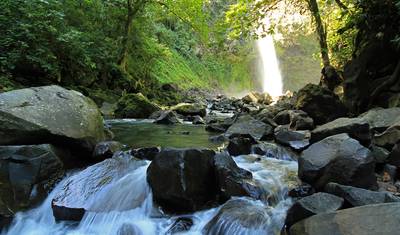 Costa Rica Coast to Coast - 10 Days — 4