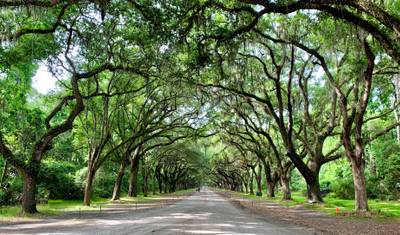 Férias com Charme Sulista (Charleston, SC a Jekyll Island, GA) (2027) — 3