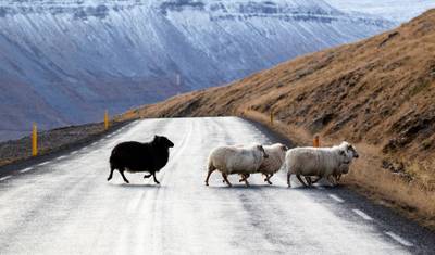 12 Days Combo Northern Lights Secrets - Westfjords & Guided Iceland Circle — 3