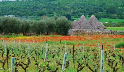 Gourmet Puglia — 3