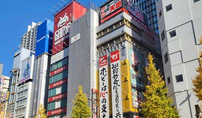 12 Days Unique Family Experiences in Japan with Kids (private guide & driver） — 3