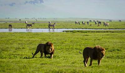 Safari de Luxo Privado de 5 Dias: Tarangire, Serengeti & Ngorongoro — 3