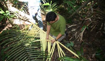 Amazon Survival Experience — 5