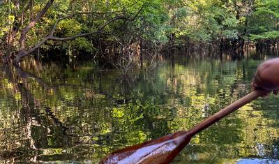 Amazon Wilderness Trekking — 5