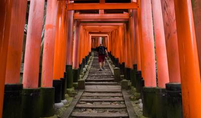 7日間 日本の家族向け冒険旅行（プライベートガイド＆ドライバー付き） — 5