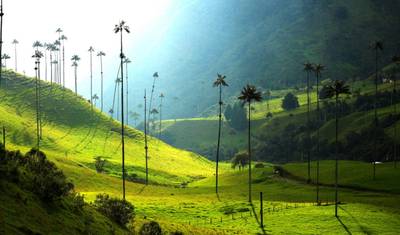 8-Day Colombia Luxury Tour — 3