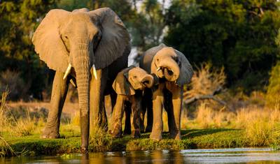 6 Days Safaris in Namibia | Private Guided Camping — 2