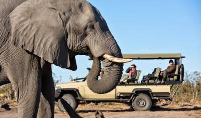 Botswana: Grupowe safari z noclegami w lodżach — 2