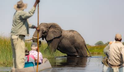 Botswana: Grupowe safari z noclegami w lodżach — 5