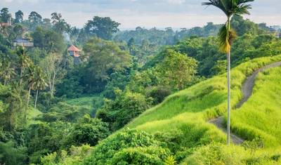 A Melhor Viagem Autoguiada de Luxo de 8 Dias em Bali com Hotéis 4* — 4