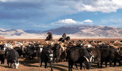 Magnificent Mongolia with Golden Eagle Festival 2026 — 5