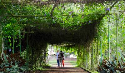 10 Days in the Heart of Ghana: Culture, Nature, and Adventure — 5