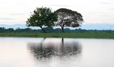 4-dniowe safari dzikiej przyrody w Llanos – Rezerwat Przyrody Guanapalo — 2