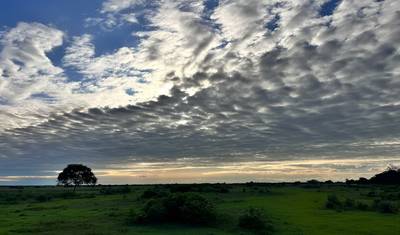 4-dniowe safari dzikiej przyrody w Llanos – Rezerwat Przyrody Guanapalo — 3