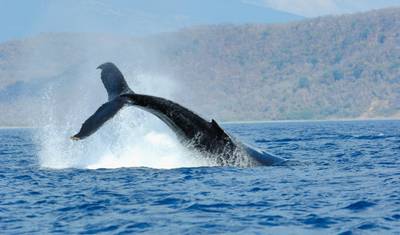 Hidden Gems of Costa Rica — 3