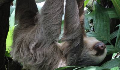 Hidden Gems of Costa Rica — 5