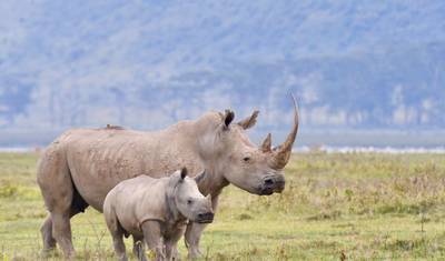 8 Days Small Group Safari- Guaranteed Departures — 5