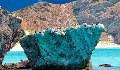Baja California: Wieloryby i Pustynia, 11 Dni - Zima — 2