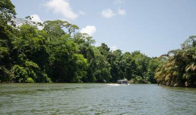 Trilhas de Tortuguero e Rápidos do Pacuare 4D/3N — 5