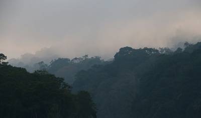 Excursão Encantadora pelo Sul da Índia saindo de Kochi (Cochim) — 4