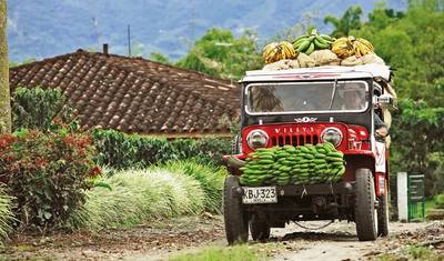 Unique Colombia — 2