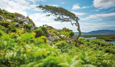 UnDiscovered Ireland — 5