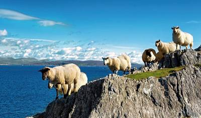 Experience the Grune Islands - Great Britain and Ireland — 2