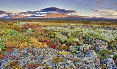Around Iceland - Ring Road and Snaefellsnes — 5