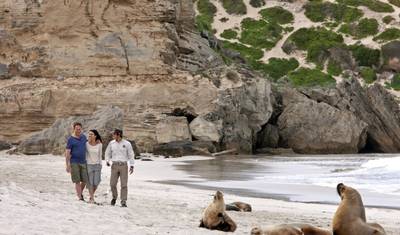 Natural paradises and cosmopolitan cities — 5