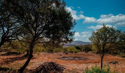 Hiking the highlights of the Algarve — 3